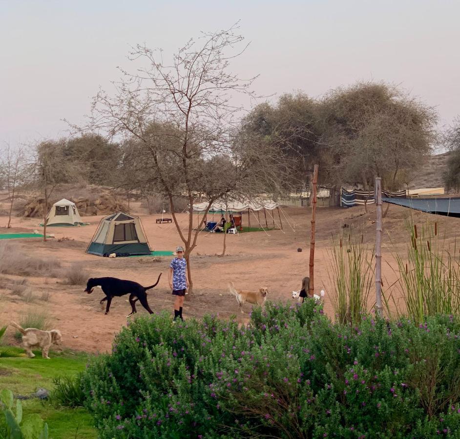Rak Glamping Hotel Ras al-Khaimah Exterior foto