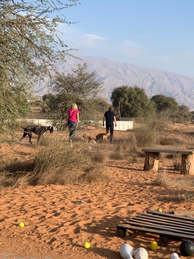 Rak Glamping Hotel Ras al-Khaimah Exterior foto